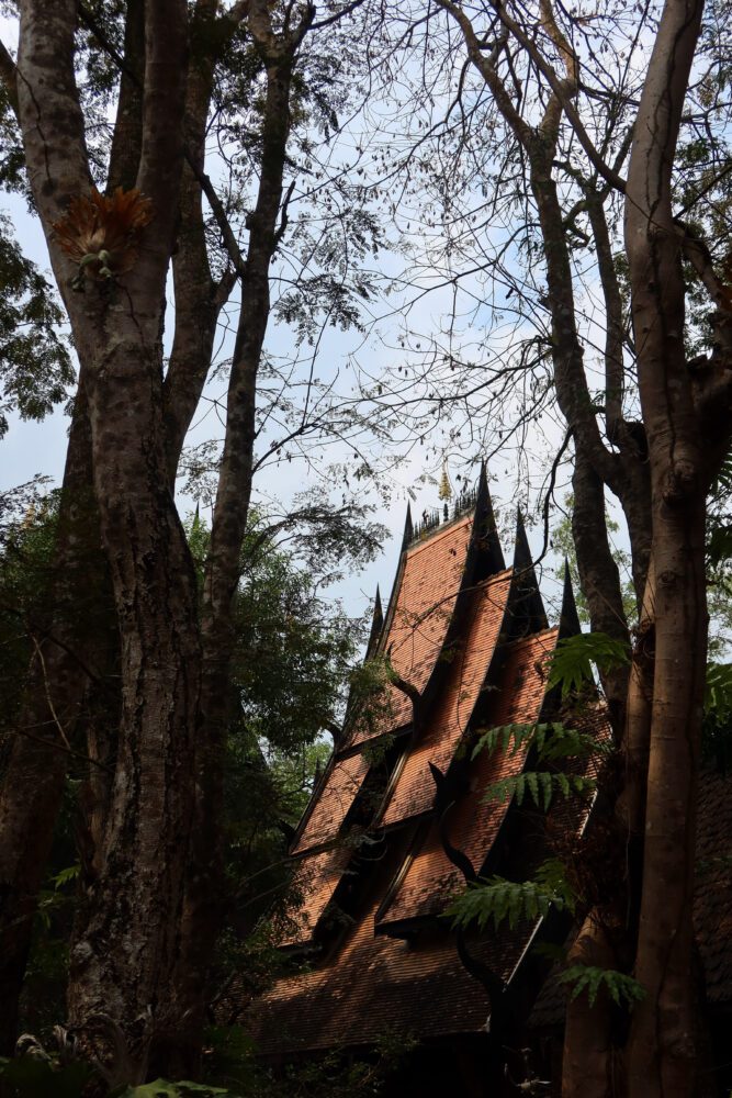Traditional Thai-style roof of the Baan Dam Museum (Black House) in Chiang Rai, Thailand, partially hidden among tall trees, showcasing the museum’s distinctive dark architecture and forested setting.
