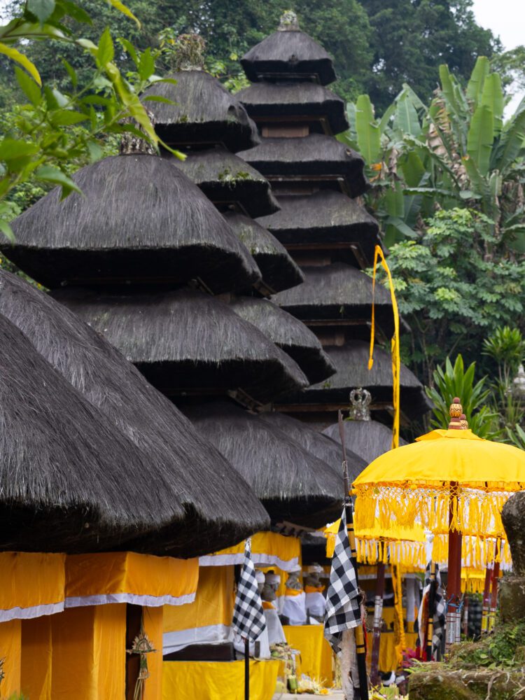 Thatched temple shrines draped in yellow ceremonial cloths at the sacred Batukaru Temple in Bali.