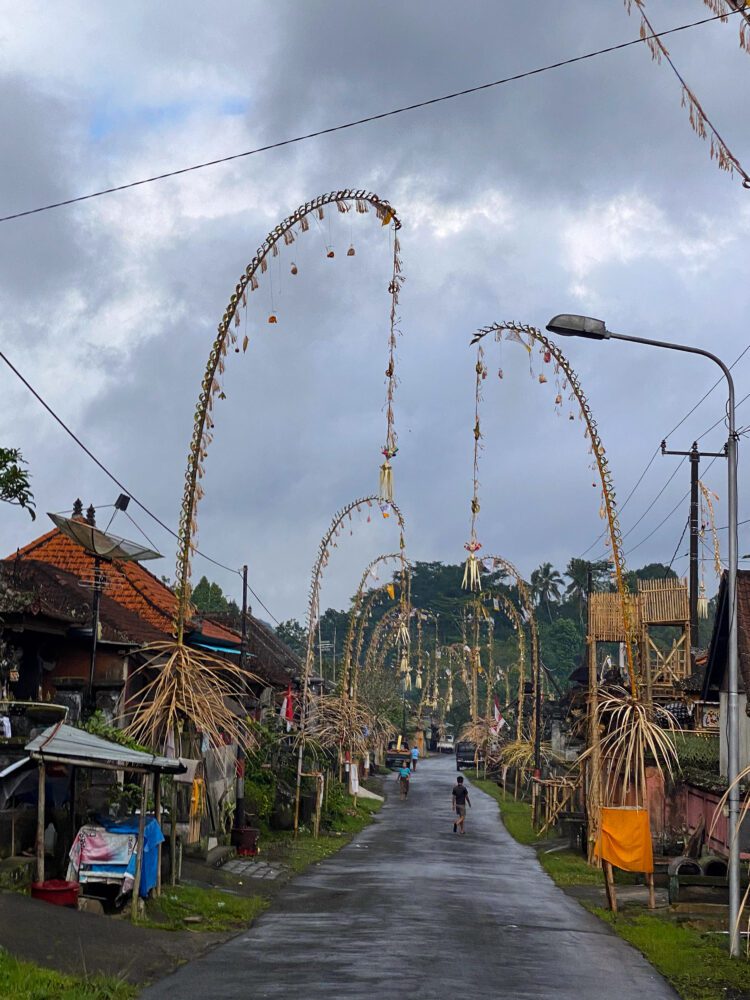 Traditional penjor bamboo poles line a village road in Bali, celebrating the Galungan festival under moody, overcast skies.