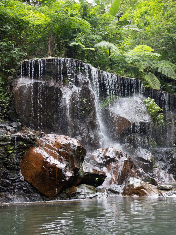 Tranquil cascade at Goa Raja Waterfall in Bali, where gentle streams flow over mossy rocks into a serene jungle pool.