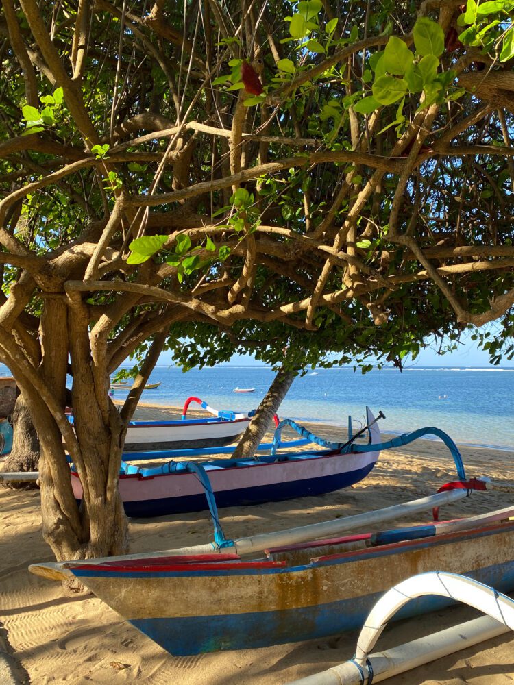Traditional Balinese jukung boats resting under a shady tree on the golden sands of Sanur Beach, with calm blue ocean in the background.