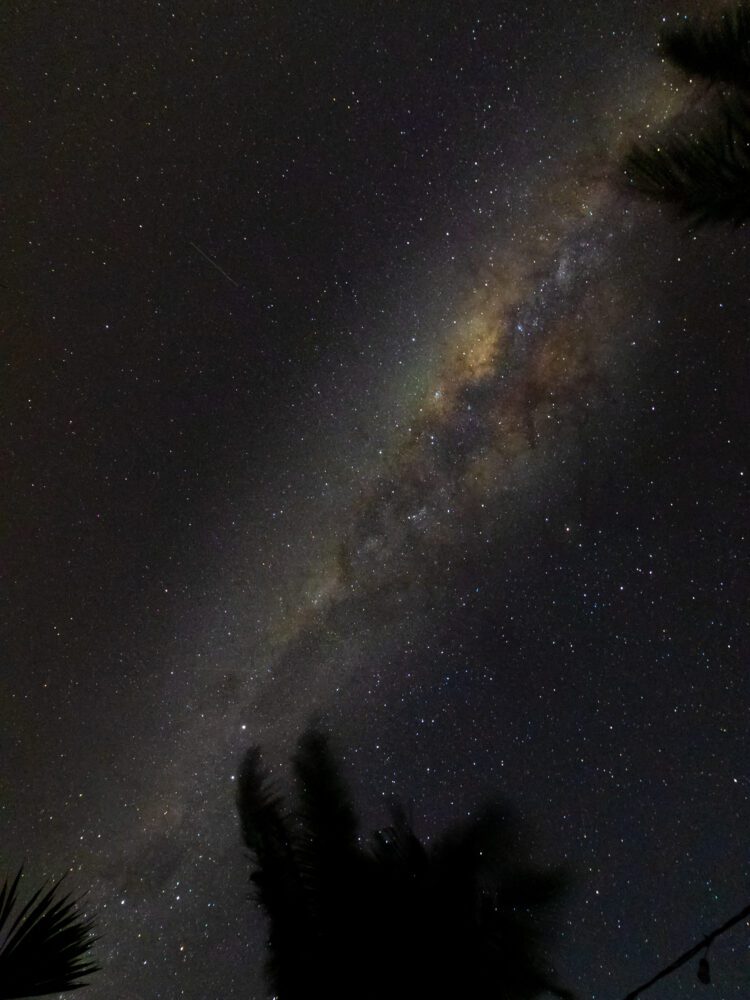 A stunning view of the Milky Way galaxy lighting up the night sky above Nusa Penida, with silhouetted palm trees in the foreground.