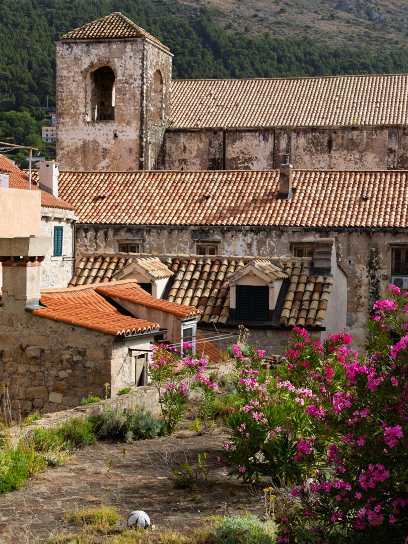 Rustic stone buildings and terracotta rooftops surround a garden blooming with pink flowers in Dubrovnik’s Old Town.