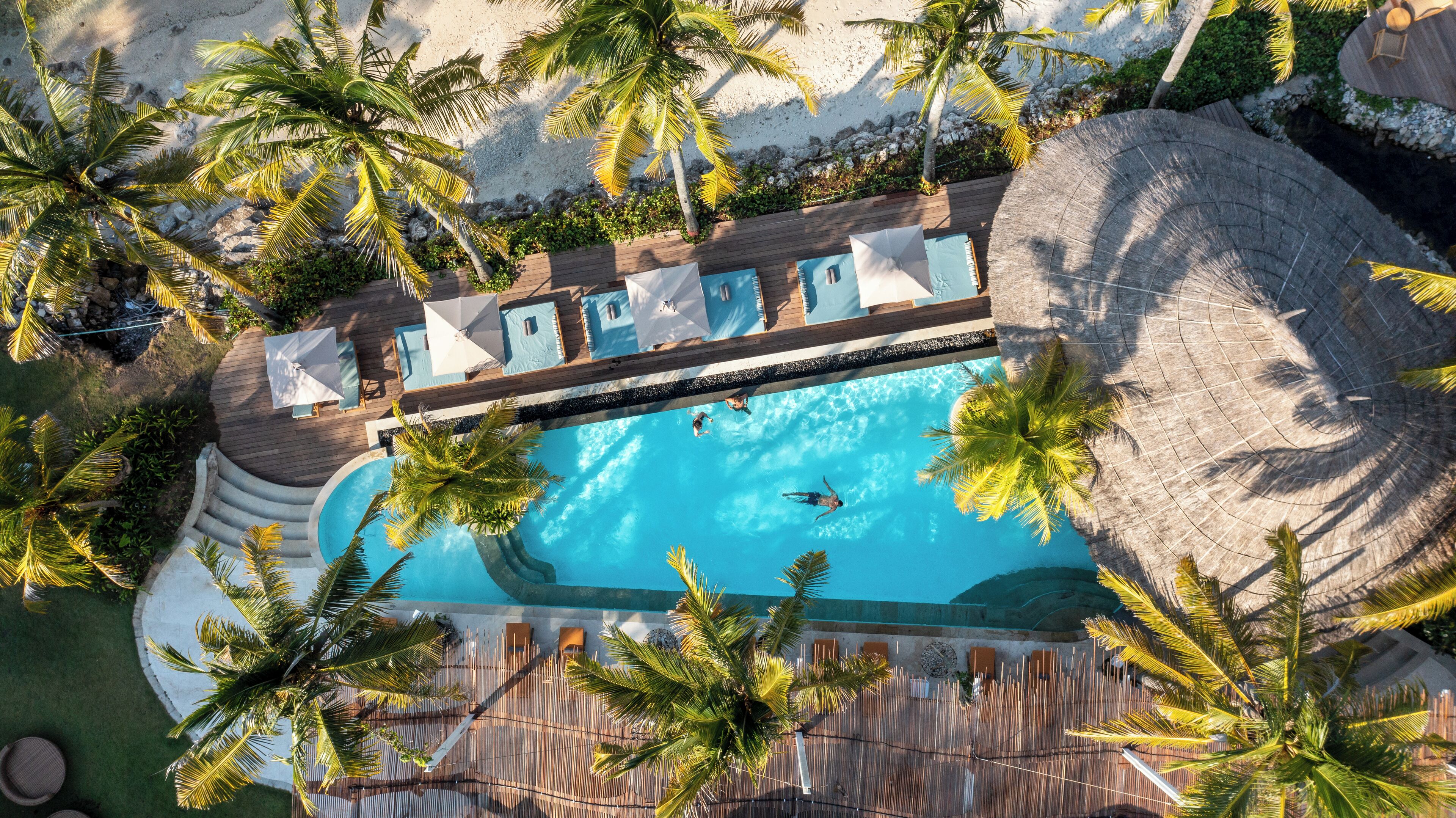 Aerial view of Semaya Beach Resort in Nusa Penida, showcasing a palm-lined pool deck with shaded lounge chairs beside a turquoise beachfront infinity pool.