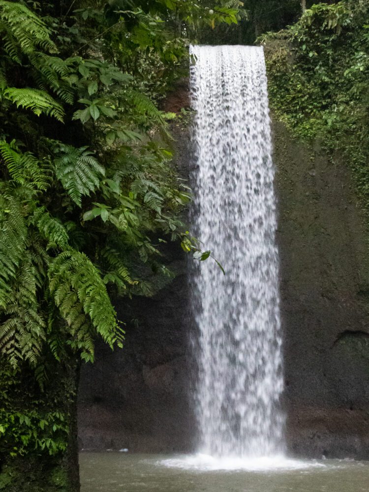 Tibumana Waterfall cascading into a serene jungle pool, surrounded by lush greenery in central Bali.