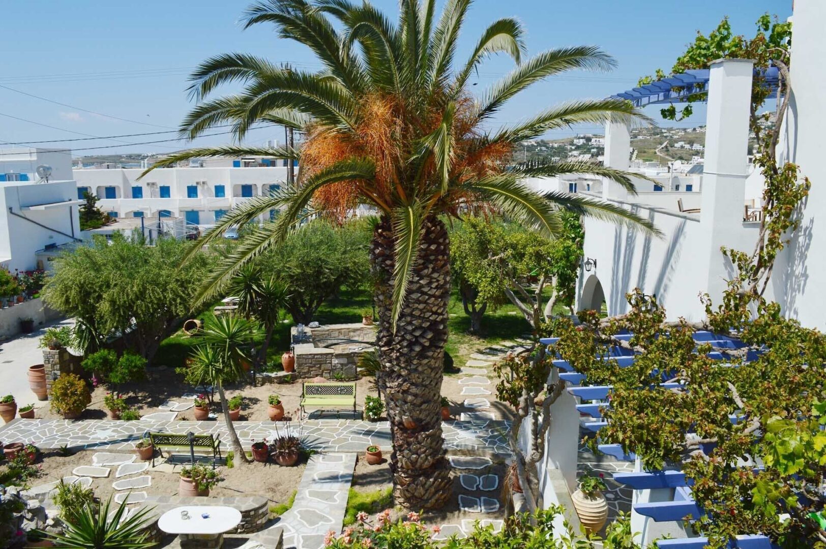 Charming garden patio at Pension Sofia Paros with palm trees, stone walkways, and vibrant potted plants.