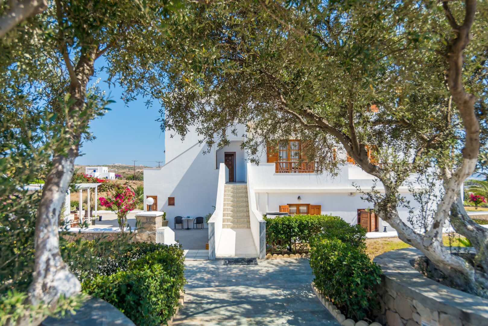 Charming entrance to Konstantinos Hotel Milos framed by olive trees, with a whitewashed facade and warm wooden shutters.