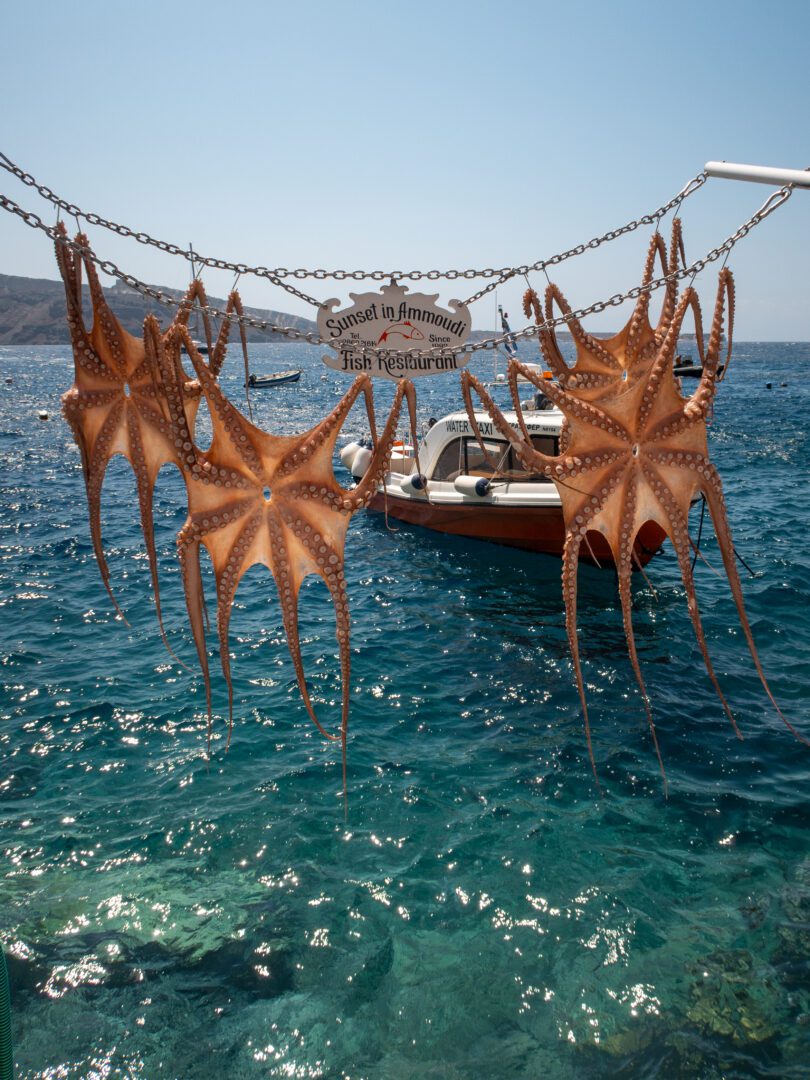 Fresh octopus drying in the sun outside Sunset Ammoudi Fish Restaurant with turquoise Aegean waters in the background.